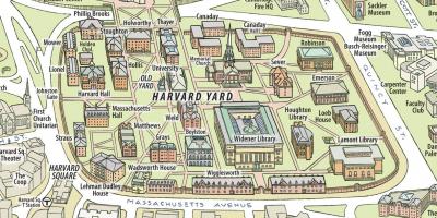 Žemėlapis iš Harvardo universiteto